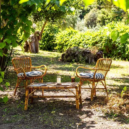 Prázdninový dům Salty Pines