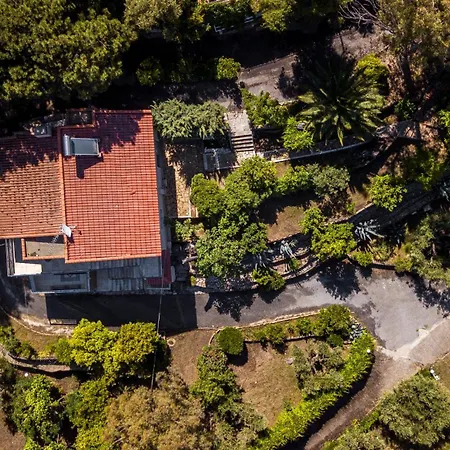 Tatil Evi Salty Pines