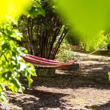 Salty Pines بوليخرونو