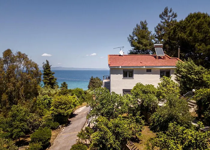 Salty Pines * 폴리크로노