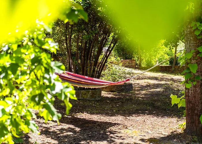 Salty Pines 폴리크로노