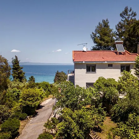 Salty Pines * Polychrono